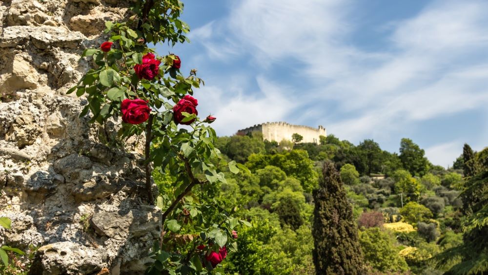 Asolo 5