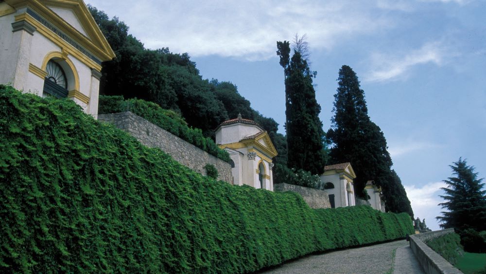 Monselice 1
